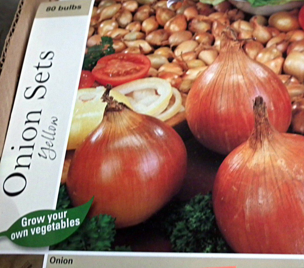 Onion Sets Now In Stock South Pleasantburg Nursery